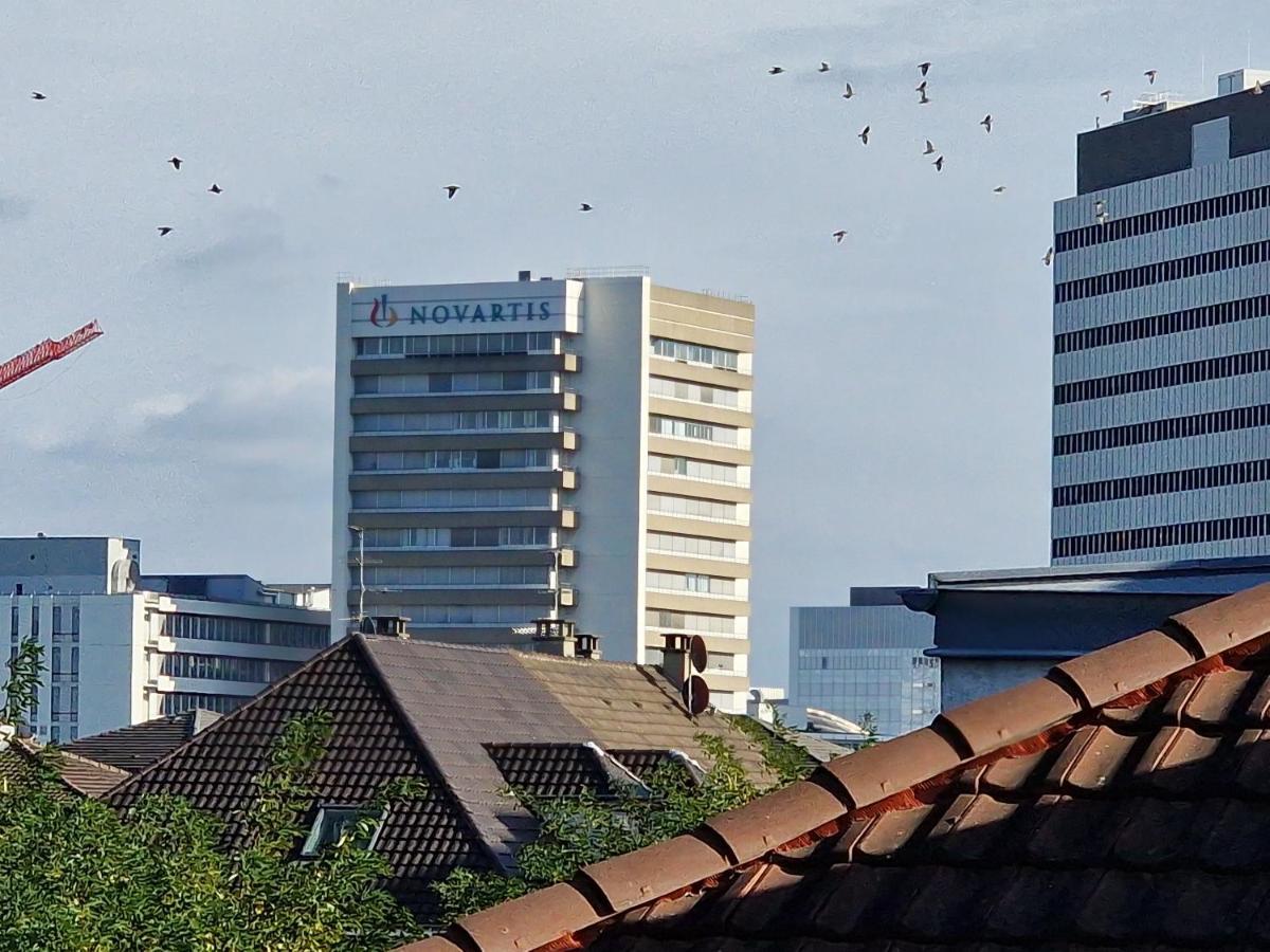 Nice Room 4 Minutes From Basel Shared Apartment แซ็ง-ลุยส์ ภายนอก รูปภาพ