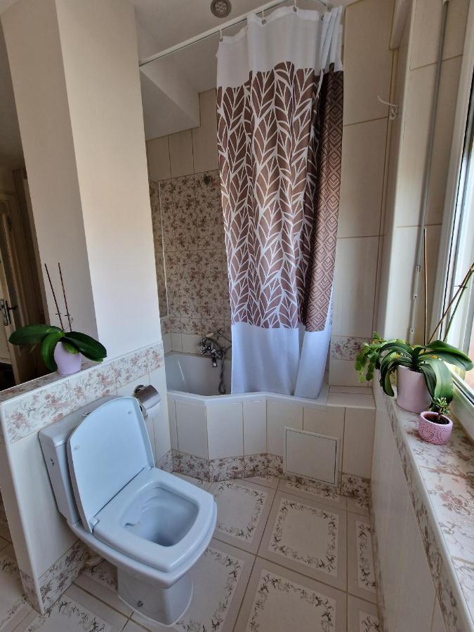Nice Room 4 Minutes From Basel Shared Apartment แซ็ง-ลุยส์ ภายนอก รูปภาพ