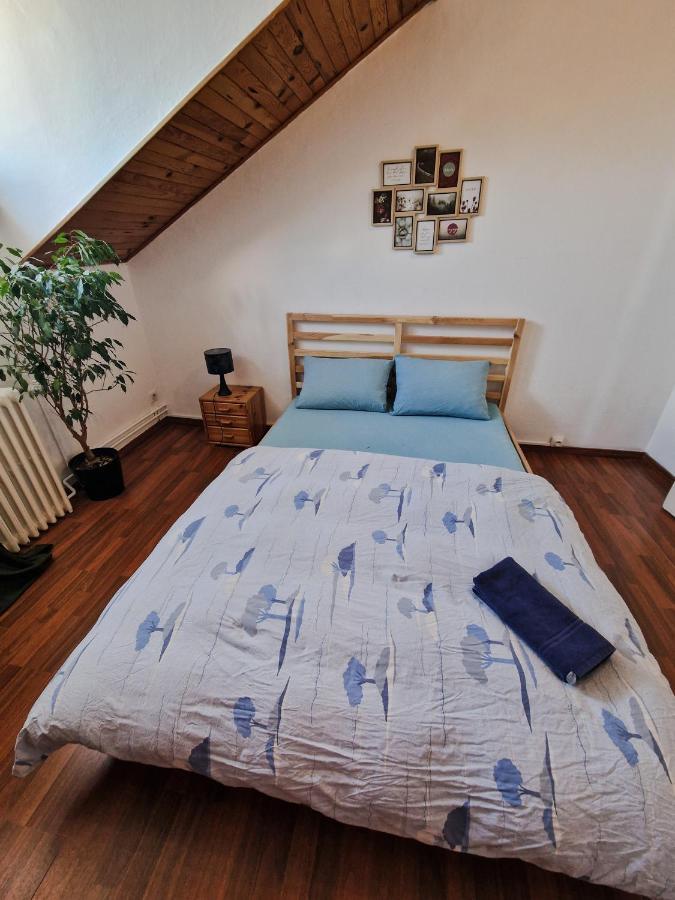 Nice Room 4 Minutes From Basel Shared Apartment แซ็ง-ลุยส์ ภายนอก รูปภาพ