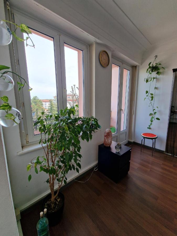Nice Room 4 Minutes From Basel Shared Apartment แซ็ง-ลุยส์ ภายนอก รูปภาพ